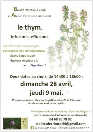 Le thym, infusions, effusions • Balade & Atelier d'écriture