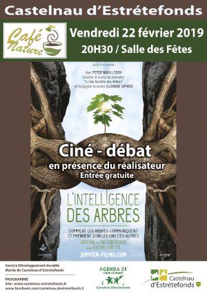 Ciné débat avec le film "L'intelligence des arbres"