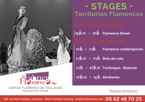 Stages de flamenco