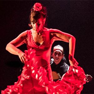 Spectacle de Flamenco