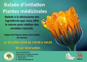 Balade d'initiation Plantes médicinales