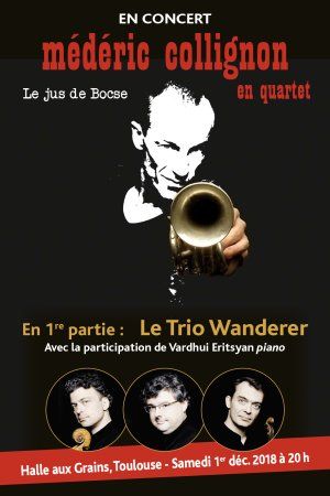 Médéric COLLIGNON et Trio WANDERER