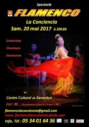 Spectacle " Flamenco La Conciencia"