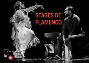 Stage de Flamenco avec Eva Luisa & Juan Manuel Cortès