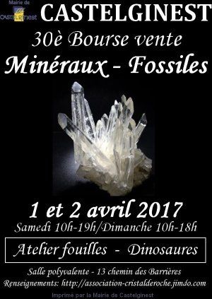30è bourse vente minéraux et fossiles à Castelginest