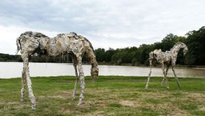 Lionel Sabatté : Sculptures étonnantes au Jardin des Plantes