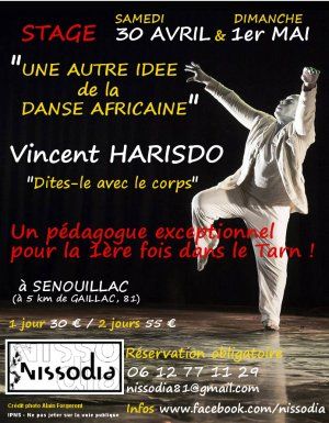 Stage "Une autre idée de la danse africaine" avec Vincent Harisdo