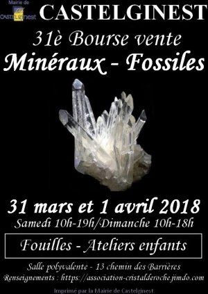 31è bourse vente de minéraux et fossiles à Castelginest (31780)