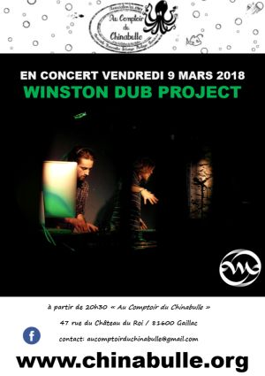 Concert de Winston Dub Project