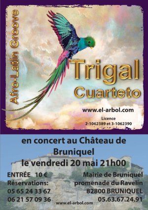 Trigal Cuarteto Afro Latin Groove En Concert