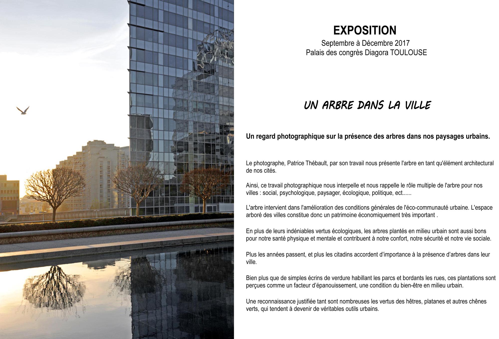 Pas d'évènement à venir