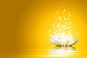 Conférence Gérer les Emotions chez les Enfants ( épisode 3) avec Capucine Dalby, Neuro Psychologue 