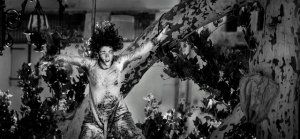 Spectacle "Racines" - Attraction Cie