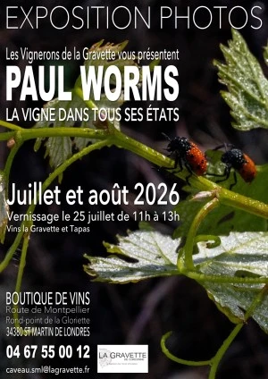 Expo Photos : "La Vigne dans tous ses Etats"