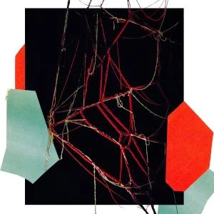 Tarentule - De Mona Richard