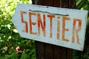 Le Sentier nature de la forêt de Bouconne