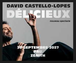 DAVID CASTELLO PERES "DÉLICIEUX"