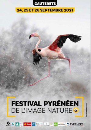 Festival Pyrénéen de l'Image Nature 