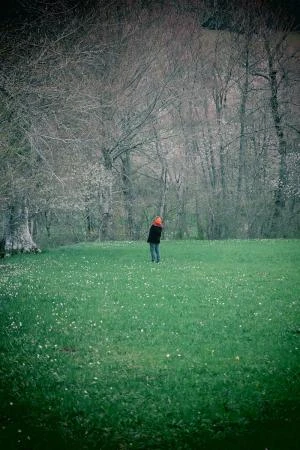 Maison dans la forêt du monde - La Radicale Fantaisie