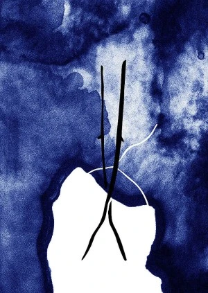 Atelier-rencontre avec Lise Bardou