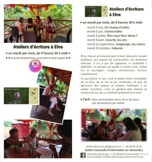 Longtemps, les arbres • Atelier d'écriture