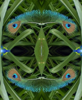 EN PLEIN'ART JEUNESSE