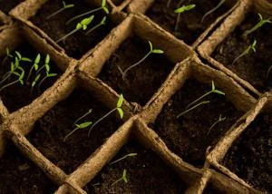 Tropisme en chantier - Saison 0 épisode 2 - (se) cultiver