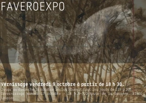 EXPO FAVERO