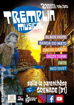 4EME TREMPLIN MUSICAL GUITARENSAVE