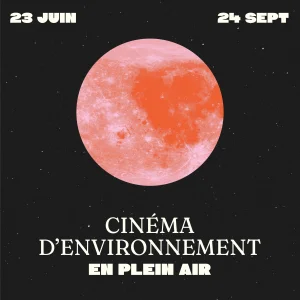 Cinéma en Plein Air en Région Occitanie 