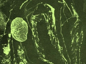 Ouverture sur résidence | Les jours qui brûlent