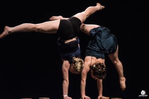 Cabaret débridé - Les artistes adhérents de La Grainerie