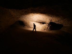 « Les tournesols sont tristes »