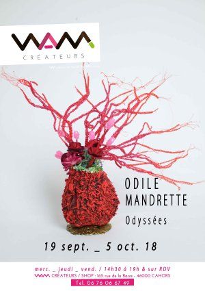 Odyssées _ Odile Mandrette