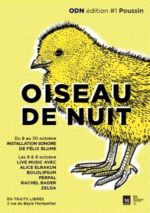 Oiseau de Nuit #1 : Poussin