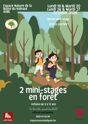 Mini-stages d'automne 2026