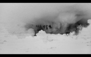 WHAT'S GOING ON ? Vidéo, musique et photographie