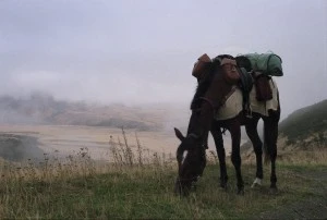 Jeune Photographie - Occitanie 2022