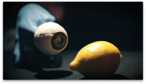 CITRON - Compagnie Le Bruit des Casseroles