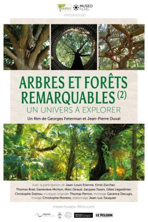 Projection-rencontre autour du film "Arbres et forêts remarquables, un univers à explorer"