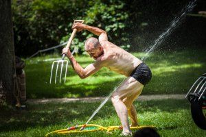 Entre serre et jardin