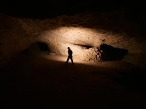 « Les tournesols sont tristes »