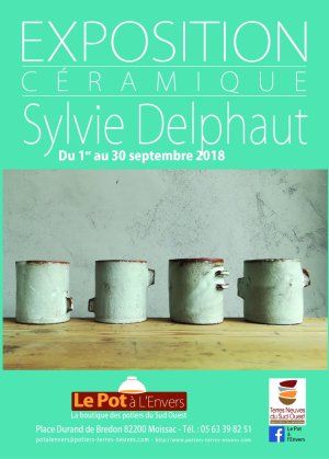 Exposition Sylvie Delphaut Septembre 2018 au Pot à l'Envers à Moissac