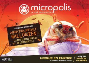 Pour Halloween, les petites bêtes sortent de leur cachette !