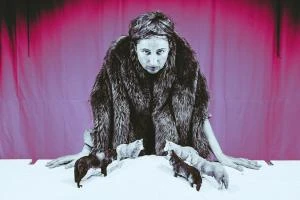 Quand les corbeaux auront des dents