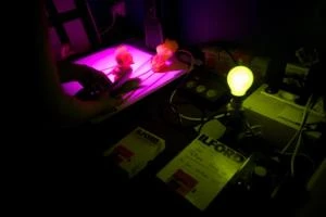 Photographie argentique et numérique