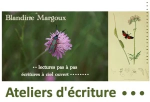 Paréidolies • Atelier d'écriture créative
