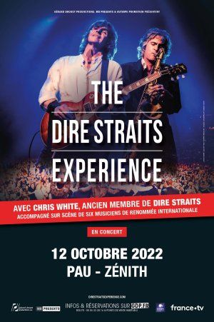 THE DIRE STRAITS EXPERIENCE 