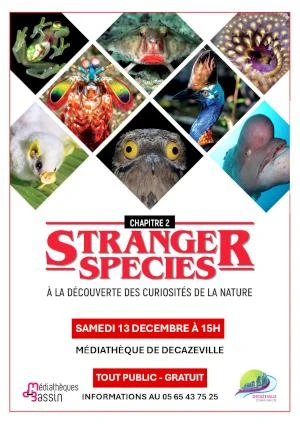 Stranger species | Chapitre 2 : A la découverte des curiosités de la nature