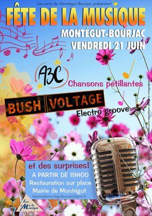  Concerts Bush Voltage & duo A3C Fête de la musique